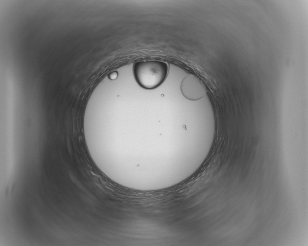 X0000111881492200907231416