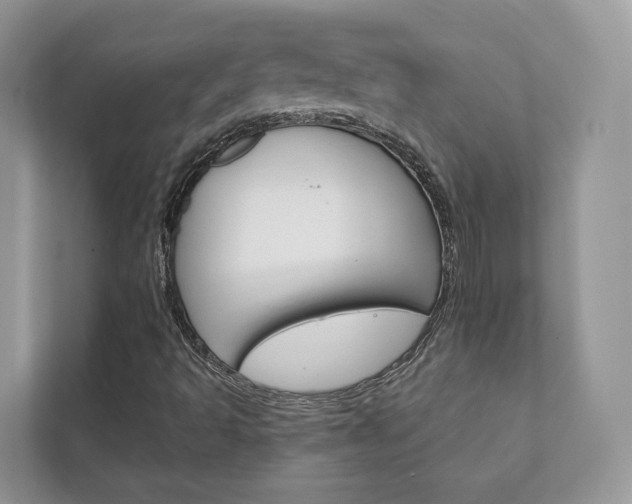 X0000111881493200907231416