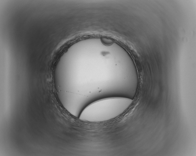 X0000111881494200907231416