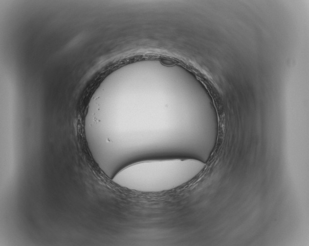 X0000111881495200907231416