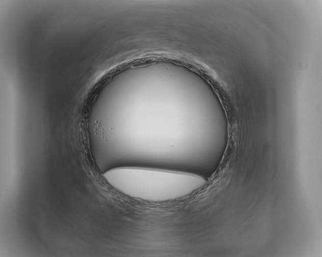 X0000111881496200907231416