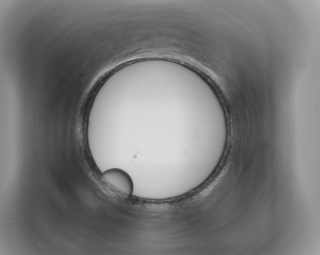 X0000111881498200907231416