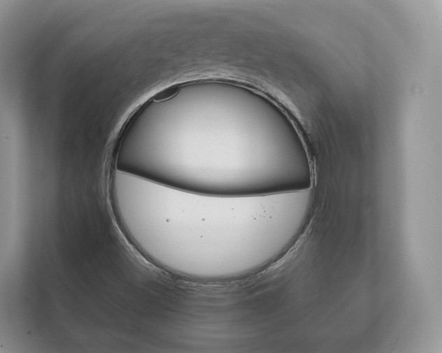 X0000111881500200907231416