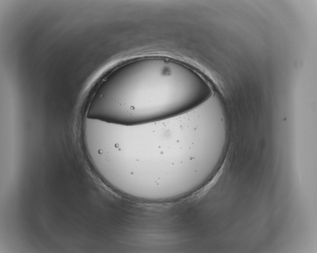 X0000111881502200907231416