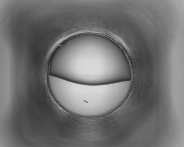 X0000111881504200907231416