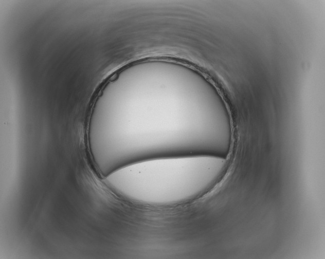 X0000111881505200907231416
