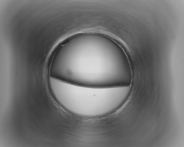 X0000111881506200907231416