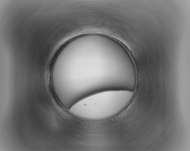 X0000111881507200907231416