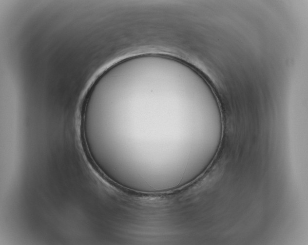 X0000111881508200907231416