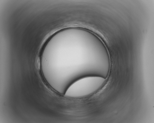 X0000111881509200907231416