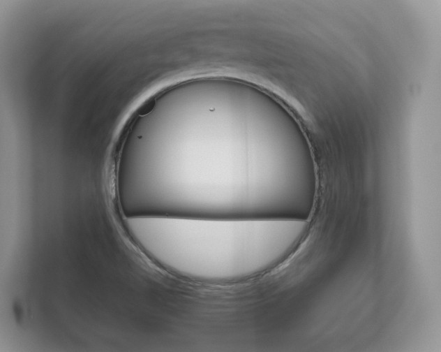 X0000111881510200907231416