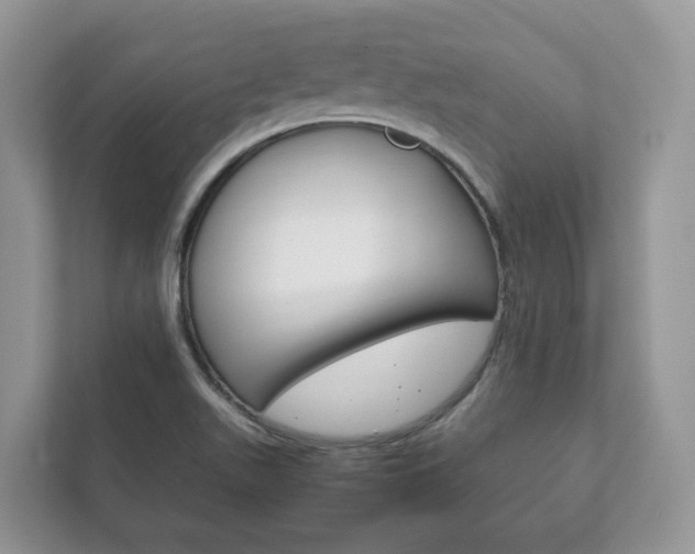 X0000111881511200907231416