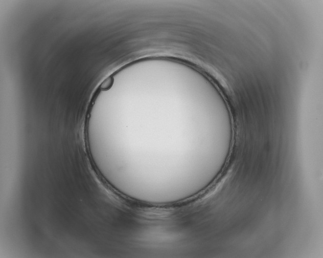 X0000111881513200907231416