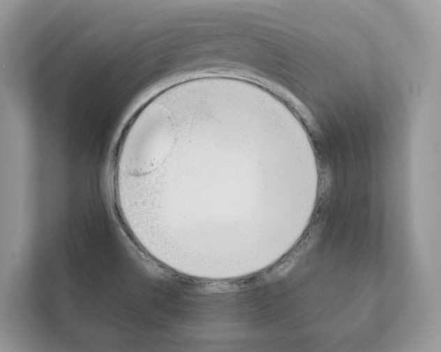 X0000111881514200907231416