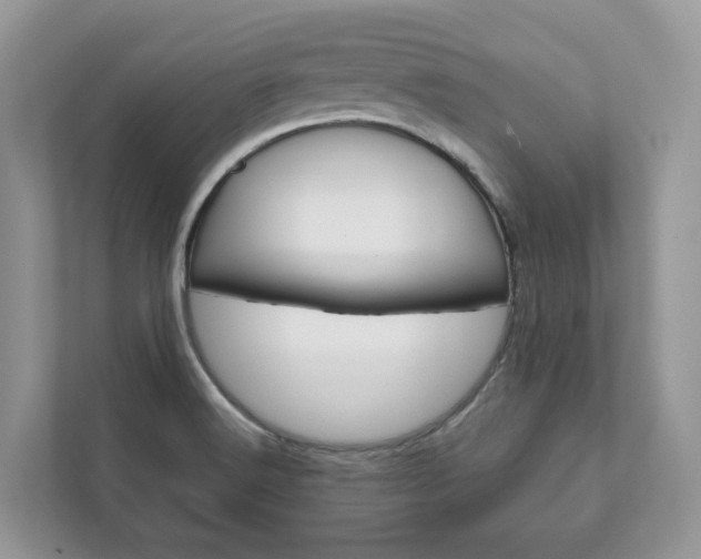 X0000111881516200907231416