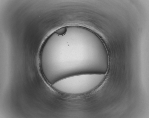 X0000111881517200907231416