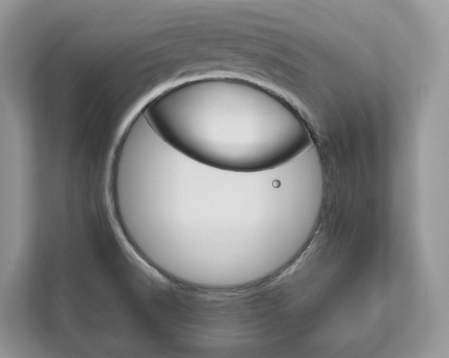 X0000111881518200907231416