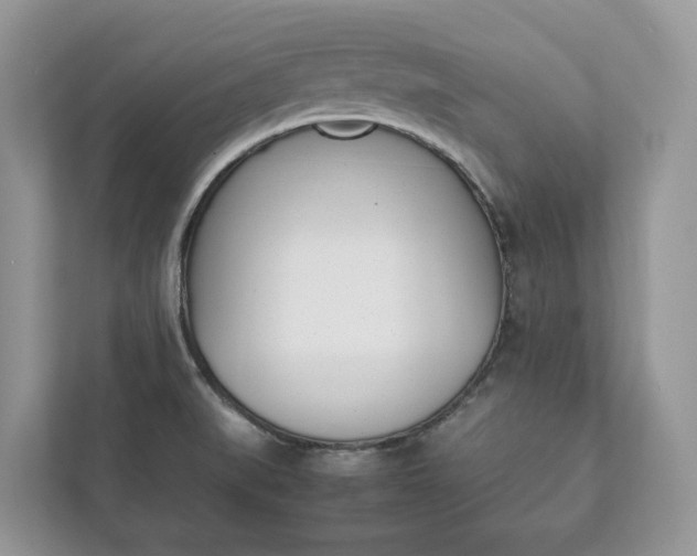 X0000111881519200907231416