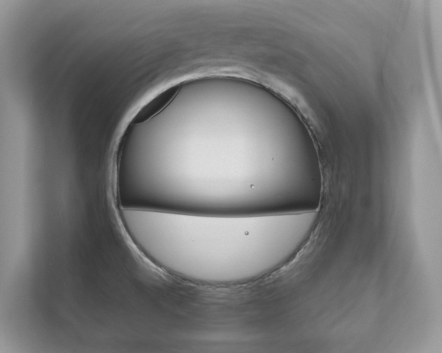 X0000111881520200907231416