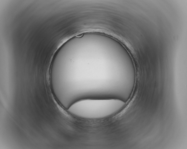 X0000111881521200907231416