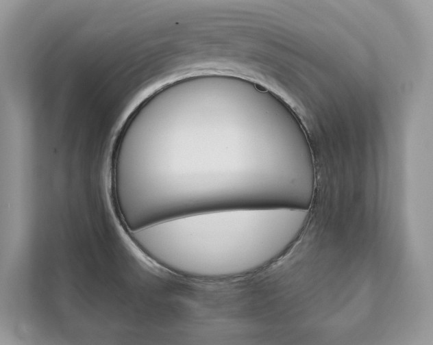 X0000111881523200907231417