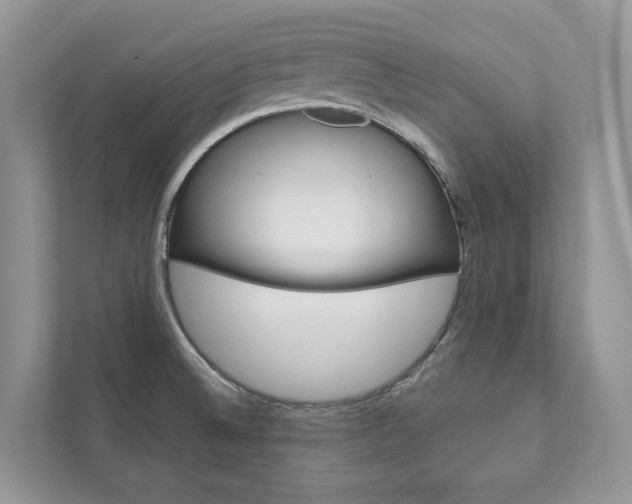 X0000111881524200907231417