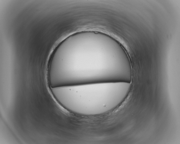 X0000111881525200907231417