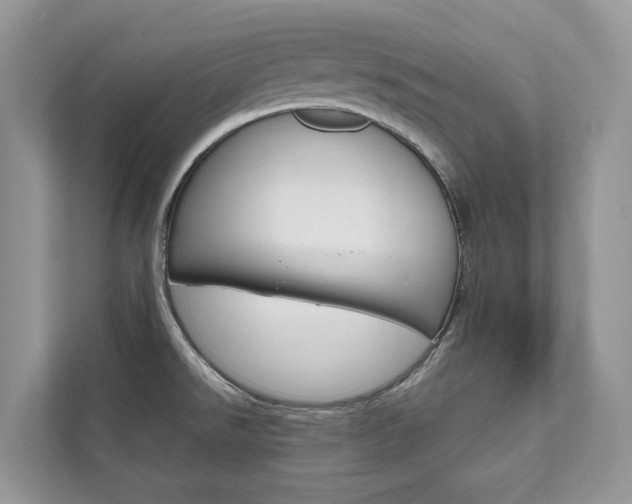 X0000111881526200907231417