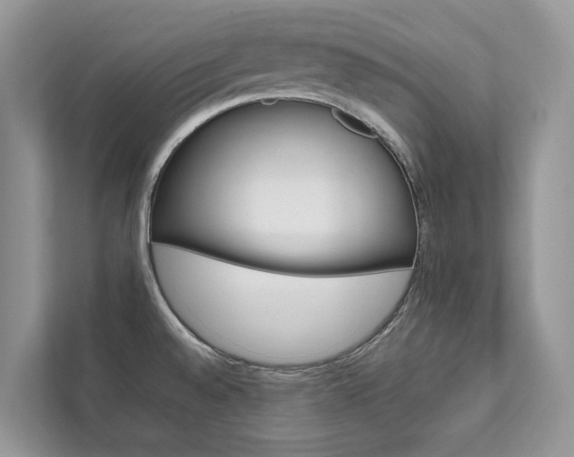 X0000111881528200907231417