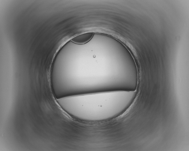 X0000111881529200907231417