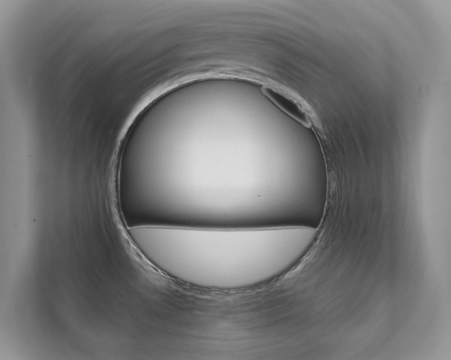 X0000111881530200907231417