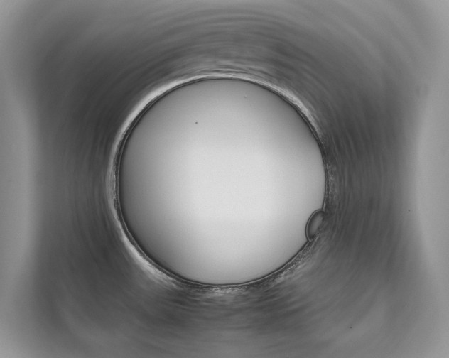 X0000111881531200907231417