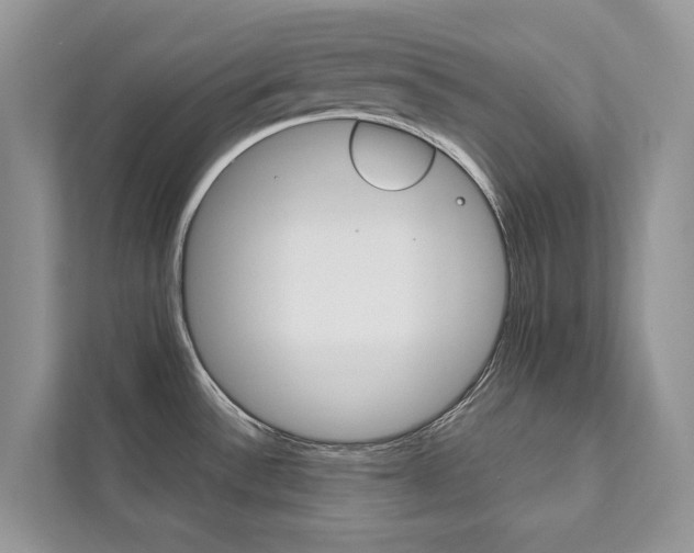 X0000111881532200907231417