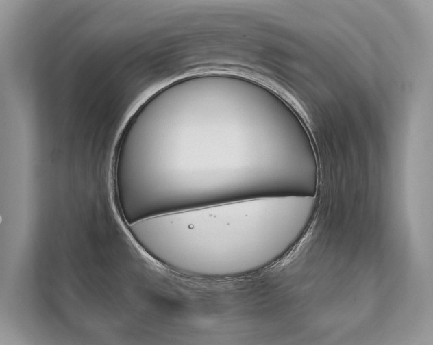 X0000111881533200907231417