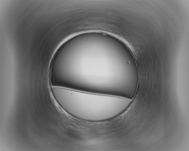 X0000111881534200907231417
