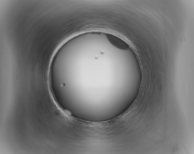 X0000111881536200907231417
