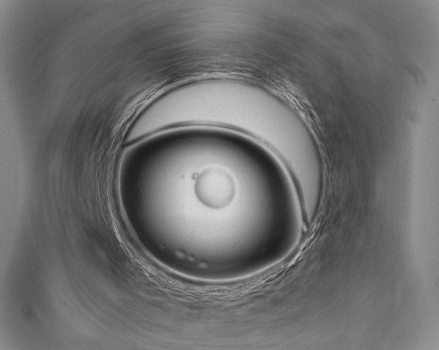 X0000111880001200907231545