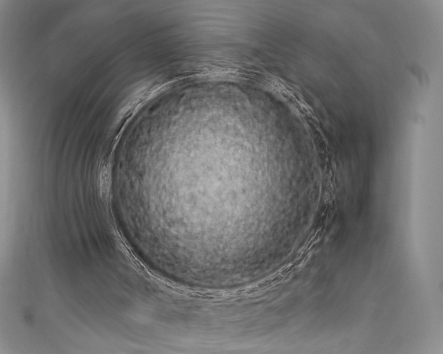 X0000111880002200907231545