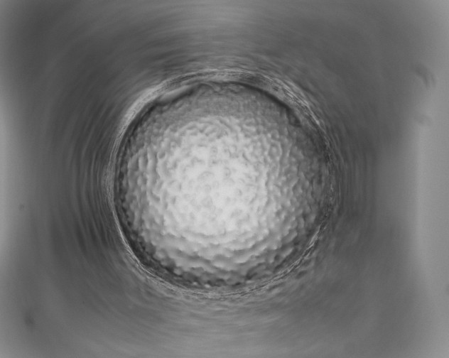 X0000111880003200907231545