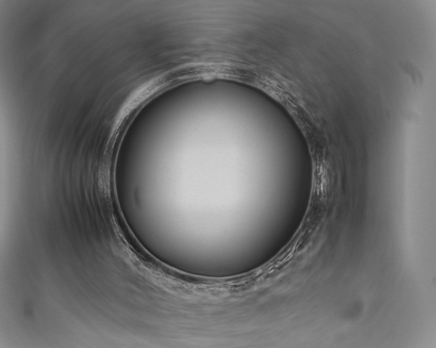 X0000111880004200907231545