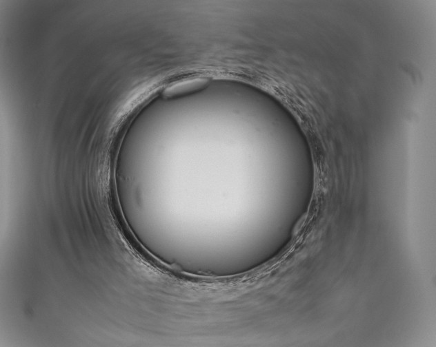 X0000111880005200907231545