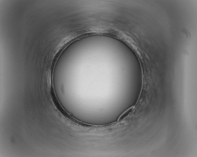 X0000111880011200907231544