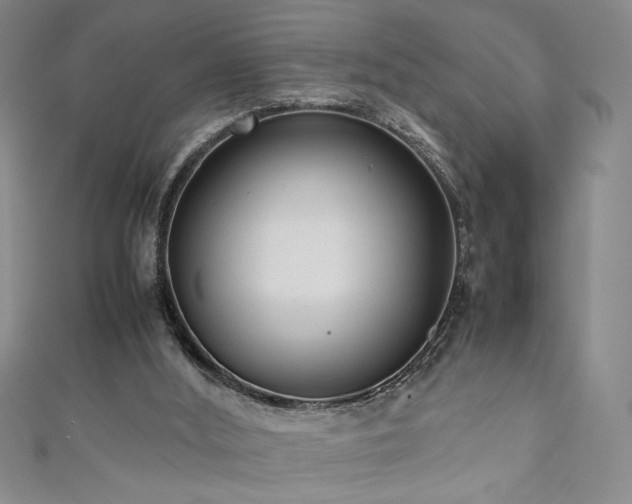 X0000111880012200907231544
