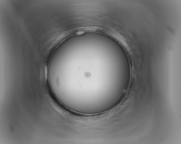 X0000111880013200907231544