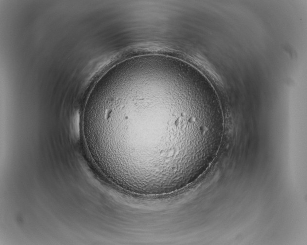 X0000111880014200907231544