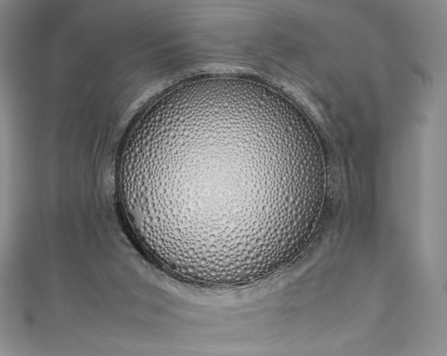 X0000111880015200907231544