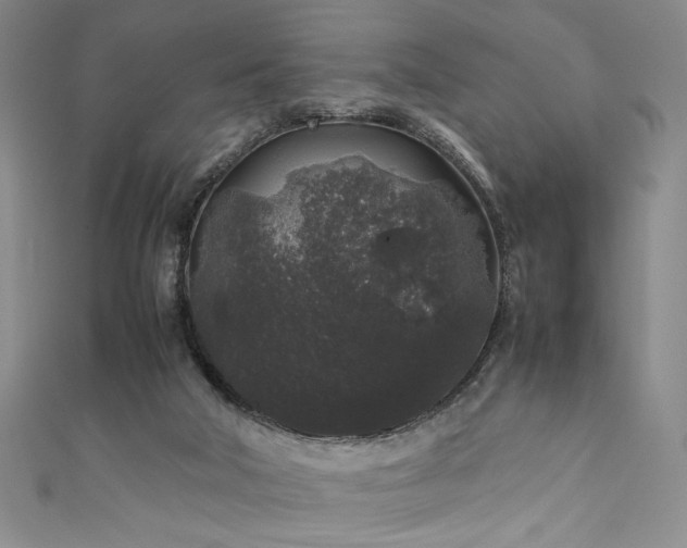 X0000111880018200907231544