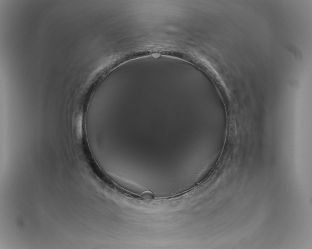 X0000111880019200907231544