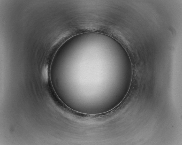X0000111880020200907231544