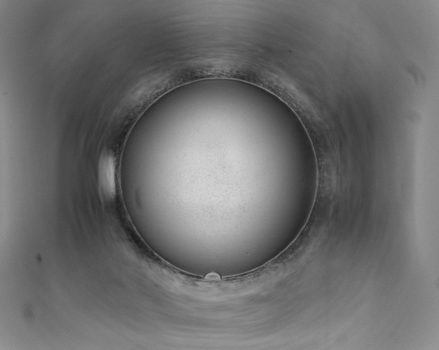 X0000111880022200907231544